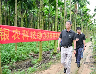 不斷創(chuàng)新納米農(nóng)藥，“銀農(nóng)三寶”助力檳榔提質(zhì)增收